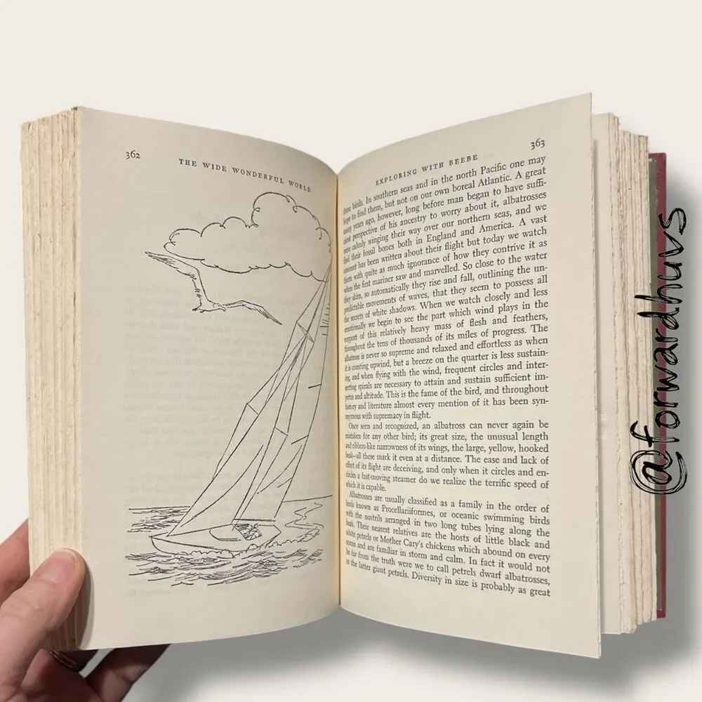 The Family Treasury of Children’s Stories – Book 2 – Hardcover 1956